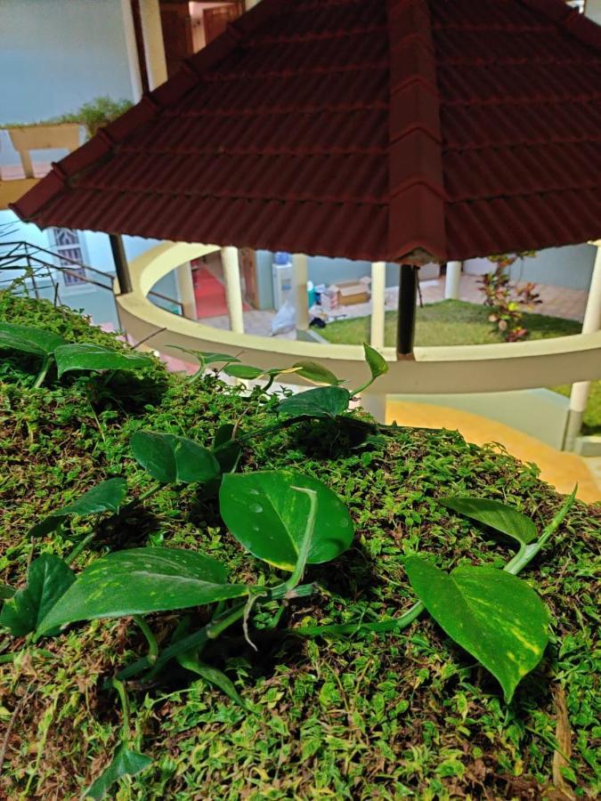Nisarga Resort Kaglipur Exterior foto